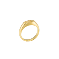Web Signet Ring - "Golden Reflexion"