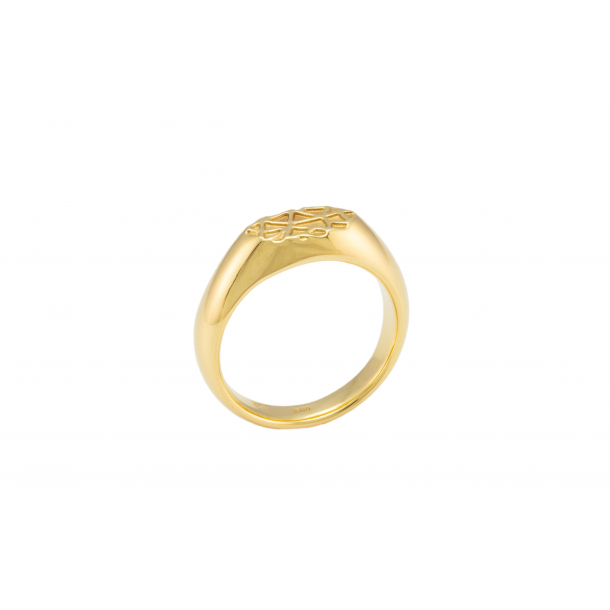 Web Signet Ring - "Golden Reflexion"