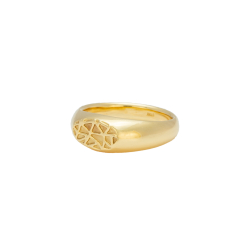 Web Signet Ring - "Golden Reflexion"