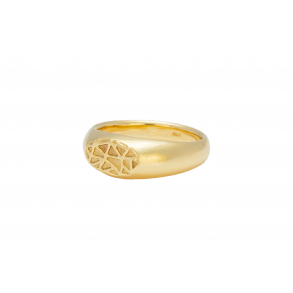 Web Signet Ring - 
