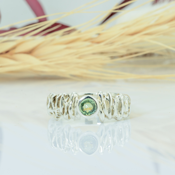 The Princess Soir�e.