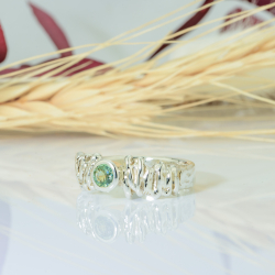 The Princess Soir�e.