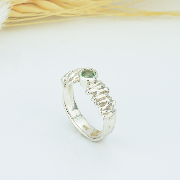 The Princess Soir�e.