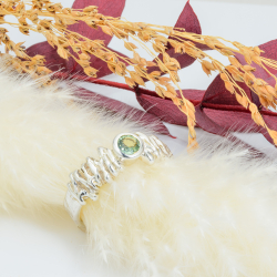 The Princess Soir�e.